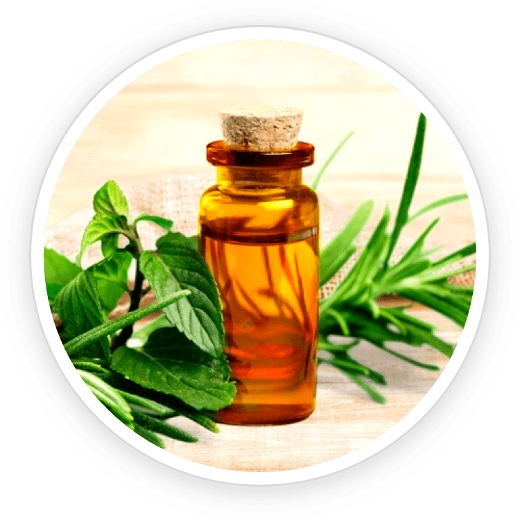 Tea Tree Oil - Strong antifungal properties Helps curb fungus growth Safe and effective