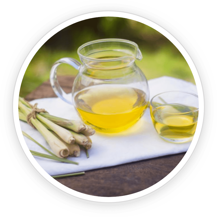 Lemongrass Oil - Efficient antifungal Prevents future infection Helps with inflammation